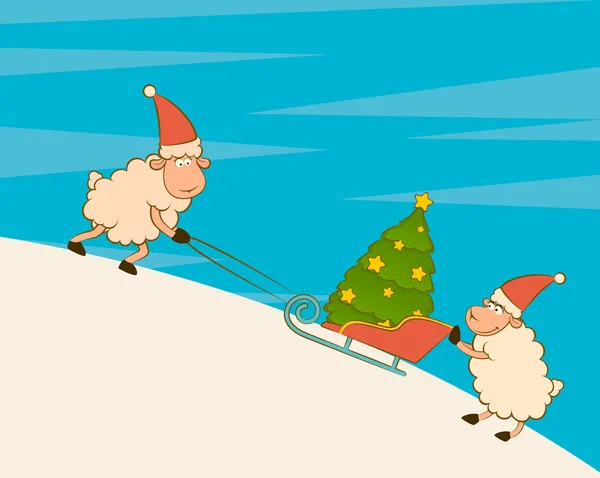 Desenhos animados ovelhas engraçadas levanta trenós com abeto — Fotografia de Stock