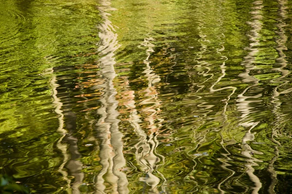 stock image Abstract rippled reflection of trees in lake water