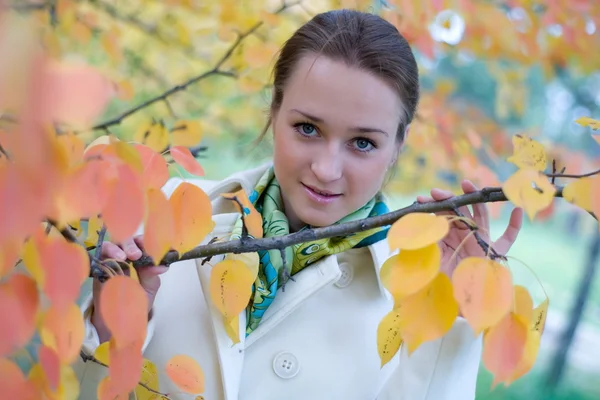 Retrato de otoño de una mujer de negocios —  Fotos de Stock