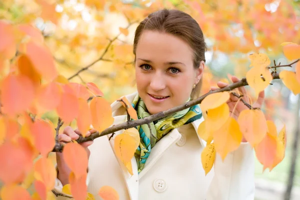 Autumn portrait of a business woman — Stock Photo, Image