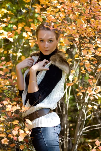 Herbstporträt eines jungen Mädchens — Stockfoto