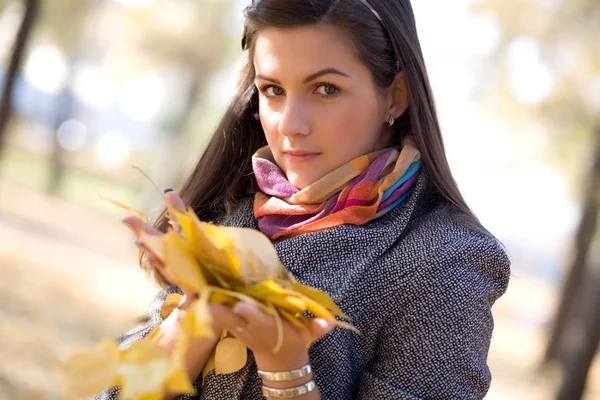 Young brunette in the background of the autumn park — Stock Photo, Image