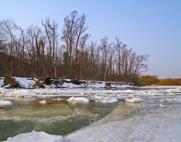 Na margem do rio da primavera — Fotografia de Stock