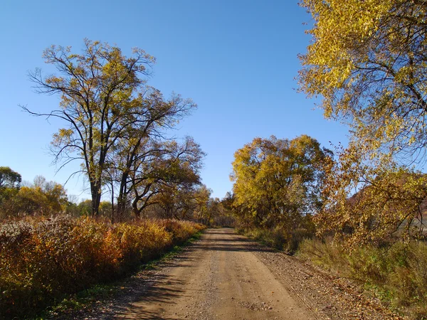 Autunno giornata di sole su strada di legno — Foto Stock