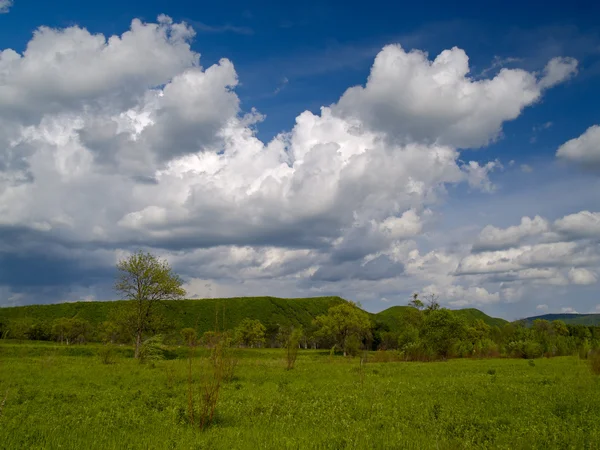 Grüne Wiese und wolkenverhangener Himmel — Stockfoto