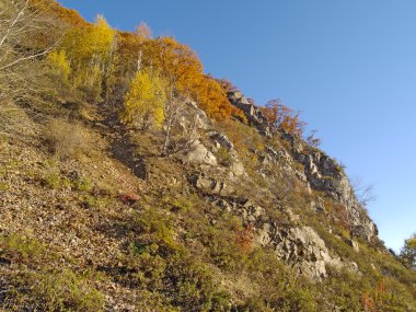 bir dağ yamacında, güneşli bir gün