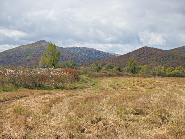 Herfst op rand van de schoongemaakte veld — Stockfoto