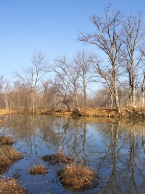 geç sonbaharda odun Nehri üzerinde