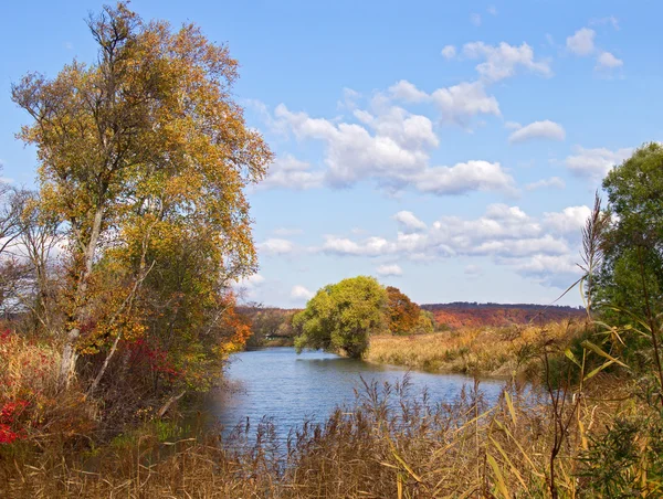 Autumn day on the bank of lake — Stock Photo, Image