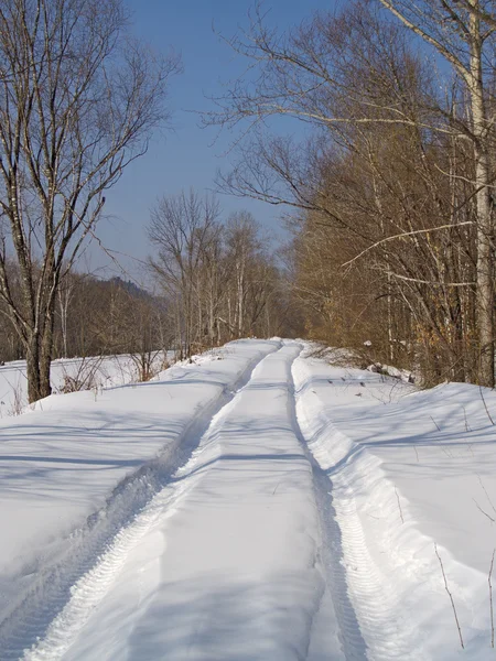 Cesta k winter dřevo — Stock fotografie