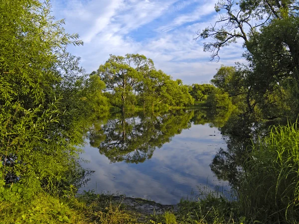 Réflexions des arbres dans le lac — Photo