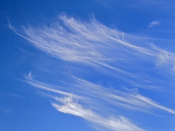De bewolkte hemel — Stockfoto