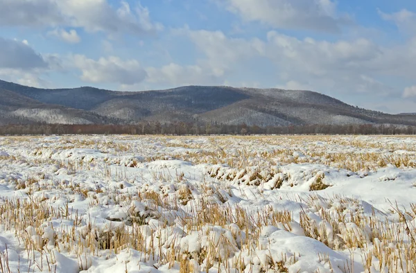 Очищенные поля покрыты снегом — стоковое фото
