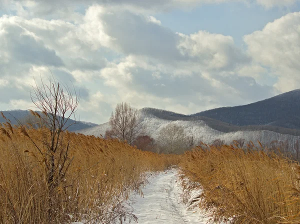 Field road in the winter afternoon — Stock Photo, Image