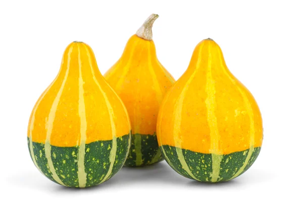 Three decorative fancy pumpkins — Stock Photo, Image