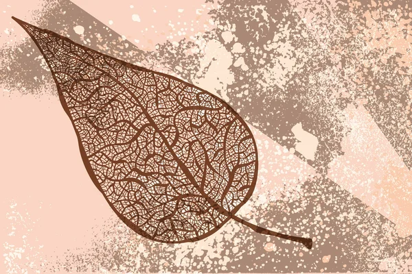 Vector vintage autumn leaf on grunge background — Stock Vector