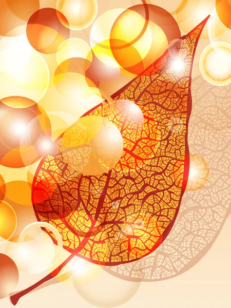矢量秋天叶和明亮的球 — 图库矢量图片