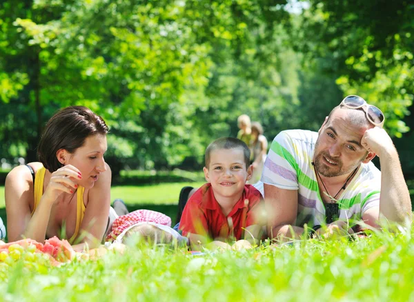 행복 한 젊은 부부 아이 들과 함께 공원에서 즐거운 시간을 — 스톡 사진