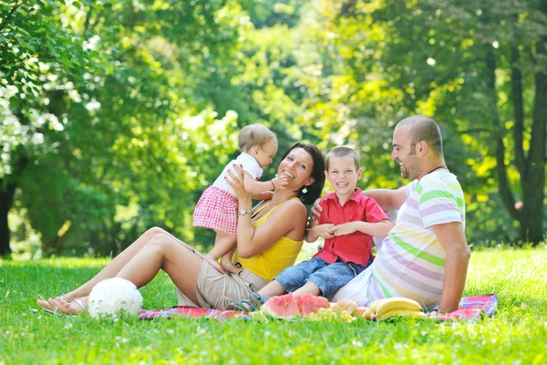Feliz pareja joven con sus hijos divertirse en el parque — Foto de Stock