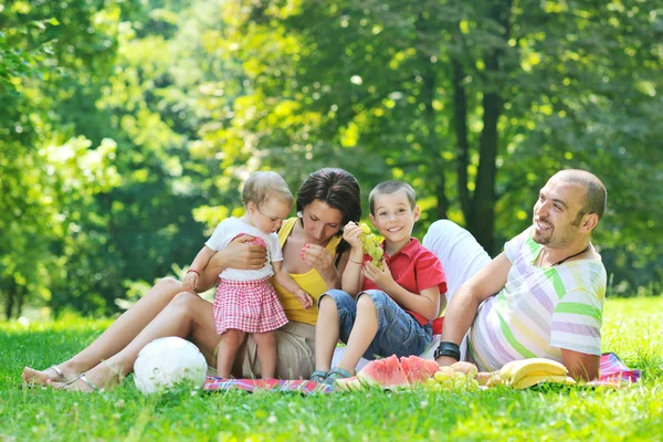 Lyckliga unga par med sina barn ha roligt på park Stockfoto