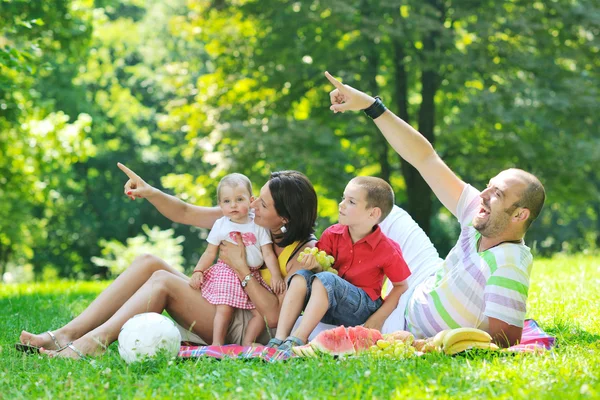Feliz jovem casal com seus filhos se divertir no parque — Fotografia de Stock