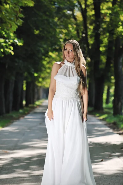 Beautiful bride outdoor Stock Photo