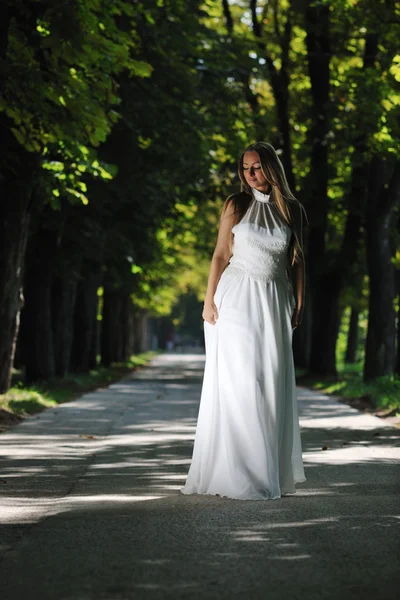 Beautiful bride outdoor Stock Picture