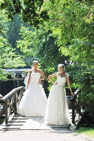 Mooie bruiden buiten — Stockfoto