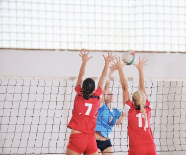 Girls playing volleyball indoor game clipart