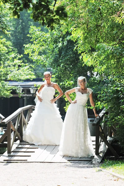 Mooie bruiden buiten Stockfoto