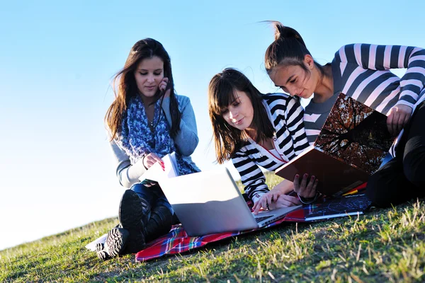 Gruppe von Jugendlichen arbeitet an Laptop im Freien — Stockfoto