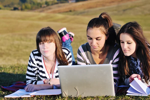 Grupo de adolescentes que trabajan en el ordenador portátil al aire libre — Foto de Stock