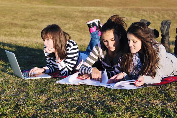 Skupina dospívajících pracující na notebooku venku — Stock fotografie