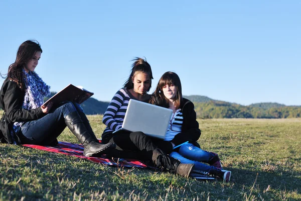 Grupo de adolescentes que trabajan en el ordenador portátil al aire libre — Foto de Stock