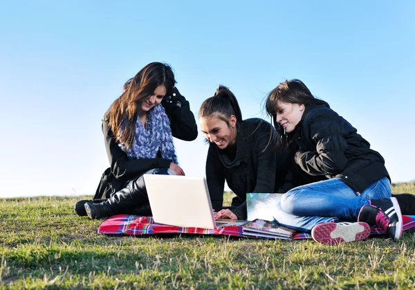 Groep van tieners werken op laptop outdoor Stockfoto