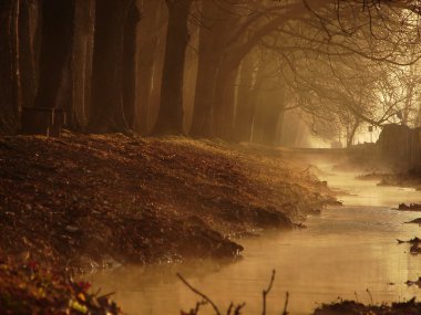 sihirli sabah Parkı