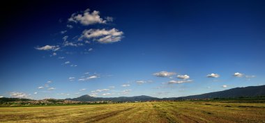 Sunny day and dramatic sky clipart