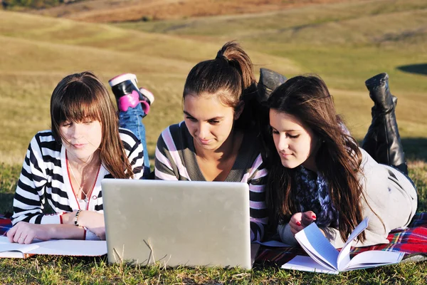 一群在户外用笔记本电脑工作的青少年 — 图库照片