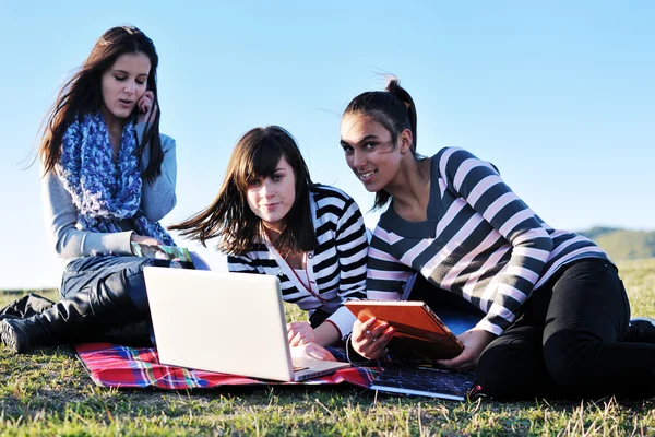 Grupo de adolescentes que trabajan en el ordenador portátil al aire libre —  Fotos de Stock