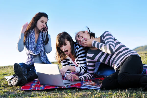 Grupo de adolescentes que trabajan en el ordenador portátil al aire libre —  Fotos de Stock