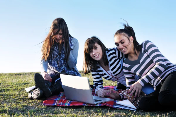 Skupina dospívajících pracující na notebooku venku — Stock fotografie