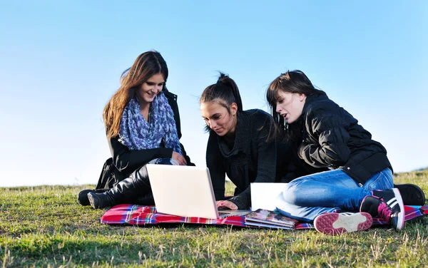 Groep van de tieners hebben plezier outdoor — Stockfoto