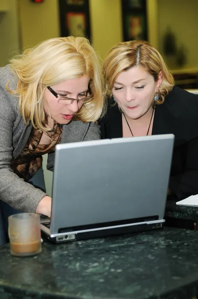 stock image Happy mature woman work on laptop