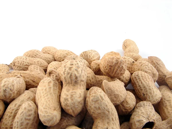 Peanut isolated on white background — Stock Photo, Image