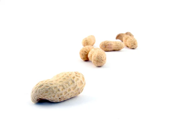 Peanut isolated on white background — Stock Photo, Image