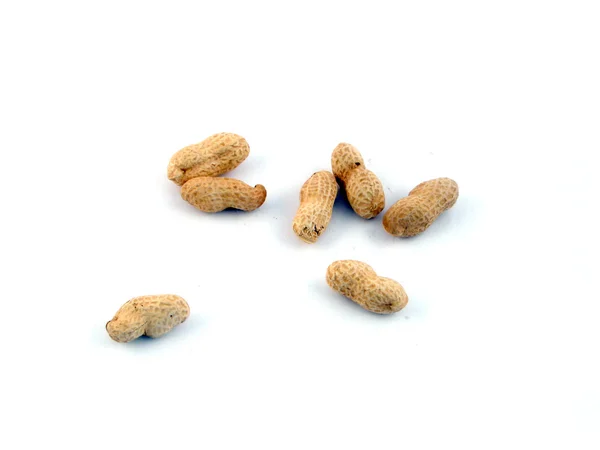 Erdnuss isoliert auf weißem Hintergrund — Stockfoto
