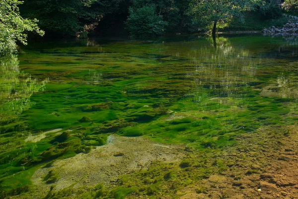 Scherpe lake bodem met alge — Stockfoto