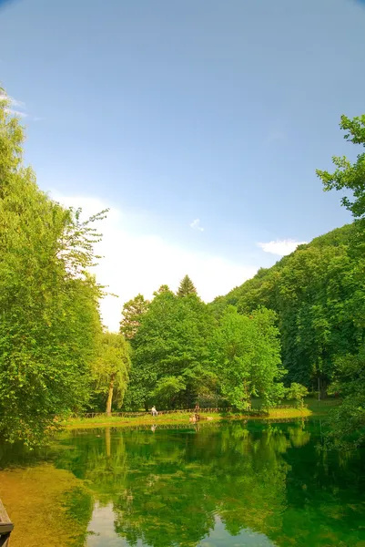 Sjön i ren natur — Stockfoto