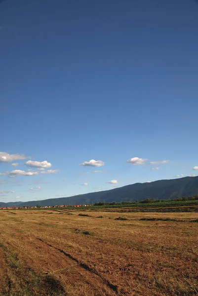 stock image Sunny day and dramatic sky