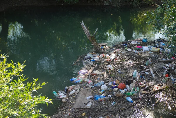 Stock image Pollution in river